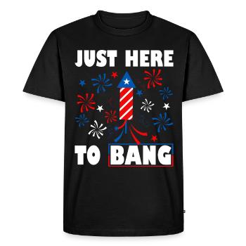 Patriotic Fireworks Director USA Celebration - T-shirt Premium bio Homme - noir - Devant - Nico (187cm)