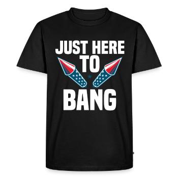 Feux d’artifice Humour Amérique 4 juillet - T-shirt Premium bio Homme - noir - Devant - Nico (187cm)