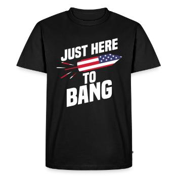 Fireworks Funny USA Celebration July 4 - Men's Premium Organic T-Shirt - black - Front - Nico (187cm)