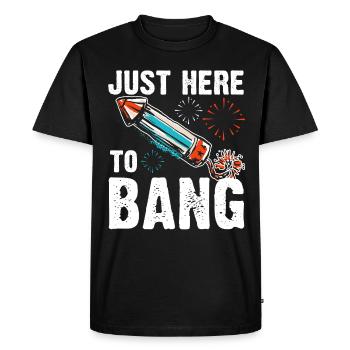 Fireworks Director Humor USA Lustig 4 juillet - T-shirt Premium bio Homme - noir - Devant - Nico (187cm)