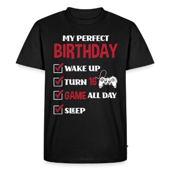 16th Birthday Young Gaming Gamer - Men's Premium Organic T-Shirt - black - Front - Nico (187cm)