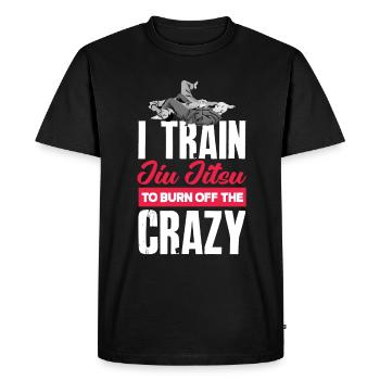 Jiu Jitsu Jiu Jitsu Jiu Jitsu - Men's Premium Organic T-Shirt - black - Front - Nico (187cm)