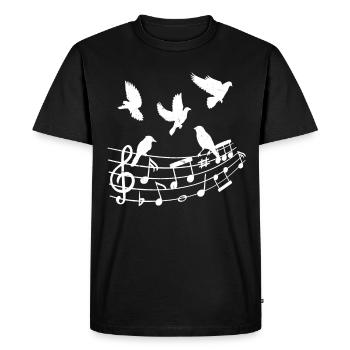 Oiseaux Notes de musique Amoureux de la nature - T-shirt Premium bio Homme - noir - Devant - Nico (187cm)