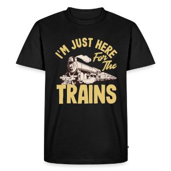 Drôle de Train amant Trains Locomotive cadeau - T-shirt Premium bio Homme - noir - Devant - Nico (187cm)