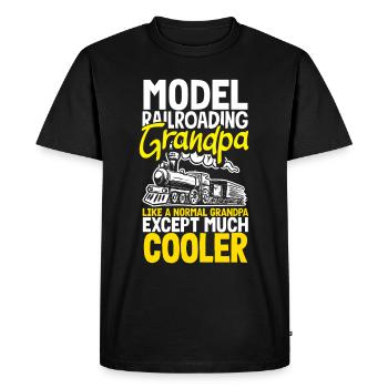 Drôle de Train amant Trains Locomotive cadeau - T-shirt Premium bio Homme - noir - Devant - Nico (187cm)