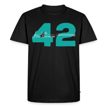 Universe 42 The Answer to Life Cool - Men's Premium Organic T-Shirt - black - Front - Nico (187cm)