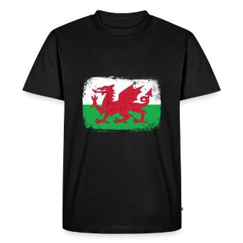 Pays de Galles - T-shirt Premium bio Homme - noir - Devant - Nico (187cm)