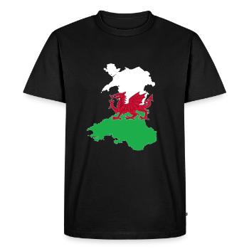 Pays de Galles - T-shirt Premium bio Homme - noir - Devant - Nico (187cm)