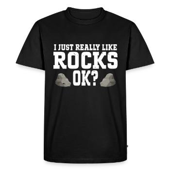 Collectionneur de roches Géologue Géologue - T-shirt Premium bio Homme - noir - Devant - Nico (187cm)