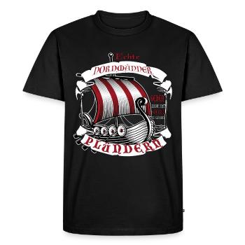 Nordmann Vikings pille au lieu d'un gamershirt sportif - T-shirt Premium bio Homme - noir - Devant - Nico (187cm)