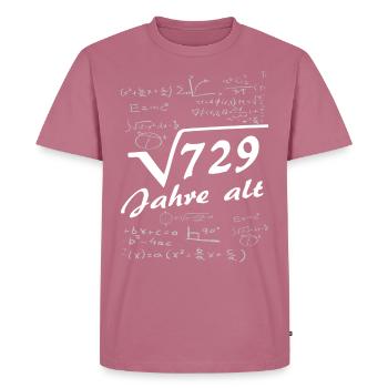 27 Jahre Geburtstag Nerd Geschenk - Männer Premium Bio T-Shirt - Mauve - Vorne - Nico (187cm)