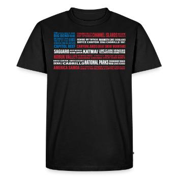 Parcs nationaux des États-Unis, Parc national, Denali, Redwood - T-shirt Premium bio Homme - noir - Devant - Nico (187cm)