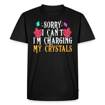 Médecine de l’énergie Reiki Cristaux Energy Healer - T-shirt Premium bio Homme - noir - Devant - Nico (187cm)