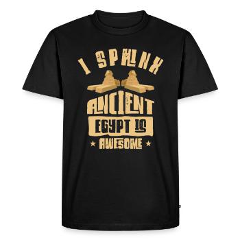 Egyptian Myth Ancient Hieroglyphs Symbols - Men's Premium Organic T-Shirt - black - Front - Nico (187cm)