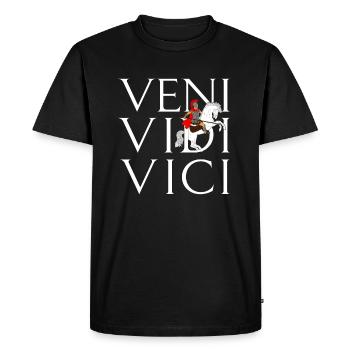 Veni Vidi Vici - Männer Premium Bio T-Shirt - Schwarz - Vorne - Nico (187cm)