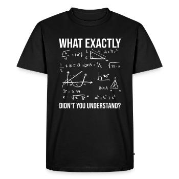 Didn't You Understand Math Teacher Quote - Men's Premium Organic T-Shirt - black - Front - Nico (187cm)