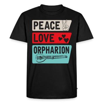 Orpharion Instrument de musique à cordes - T-shirt Premium bio Homme - noir - Devant - Nico (187cm)