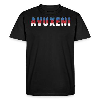 Avuxeni Good Morning Country Xitsonga - T-shirt Premium bio Homme - noir - Devant - Nico (187cm)
