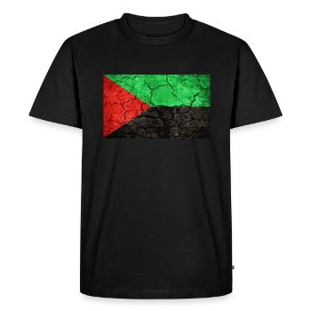 Solide Drapeau De La Martinique Terre Des Ancêtres - T-shirt Premium bio Homme - noir - Devant - Nico (187cm)