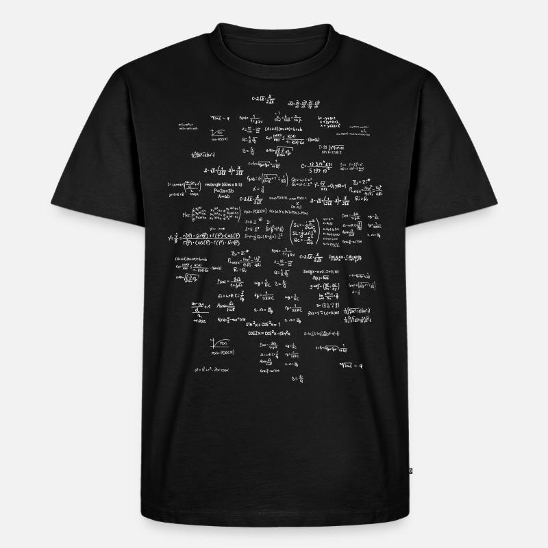 Formulaire de maths - T-shirt Premium bio Homme - noir
