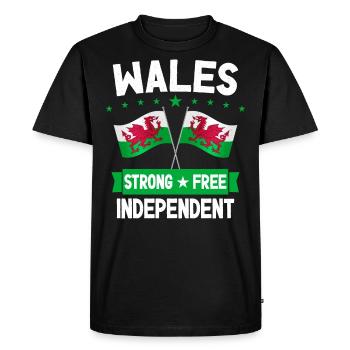 Pays de Galles - T-shirt Premium bio Homme - noir - Devant - Nico (187cm)