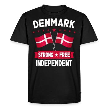 Denmark - Men's Premium Organic T-Shirt - black - Front - Nico (187cm)