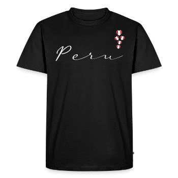 Peru - Men's Premium Organic T-Shirt - black - Front - Nico (187cm)