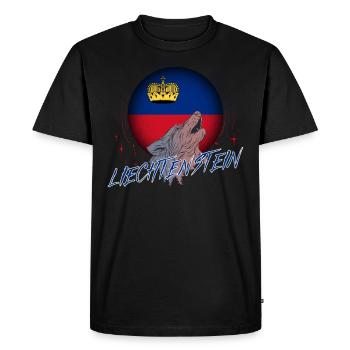 Liechtenstein - T-shirt Premium bio Homme - noir - Devant - Nico (187cm)