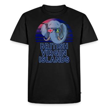 British Virgin Islands - Men's Premium Organic T-Shirt - black - Front - Nico (187cm)