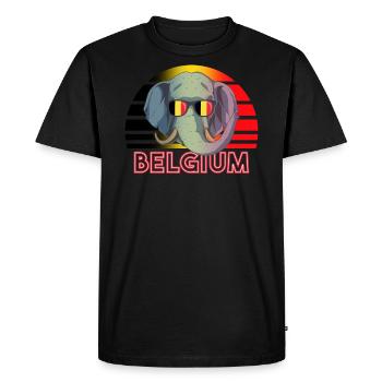 Belgium - Men's Premium Organic T-Shirt - black - Front - Nico (187cm)