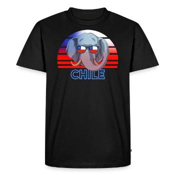 Chile - Men's Premium Organic T-Shirt - black - Front - Nico (187cm)