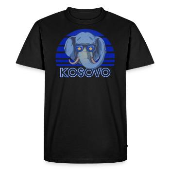 Kosovo (en anglais) - T-shirt Premium bio Homme - noir - Devant - Nico (187cm)
