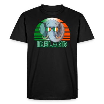 Irlande - T-shirt Premium bio Homme - noir - Devant - Nico (187cm)