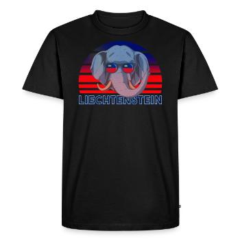 Liechtenstein - T-shirt Premium bio Homme - noir - Devant - Nico (187cm)