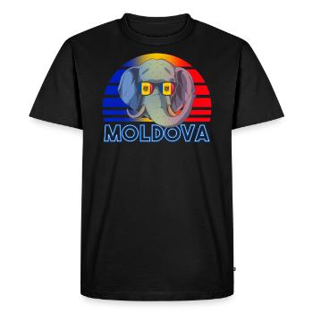 Moldavie - T-shirt Premium bio Homme - noir - Devant - Nico (187cm)