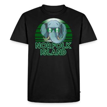 Île Norfolk - T-shirt Premium bio Homme - noir - Devant - Nico (187cm)