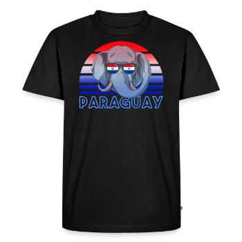 Paraguay - Men's Premium Organic T-Shirt - black - Front - Nico (187cm)