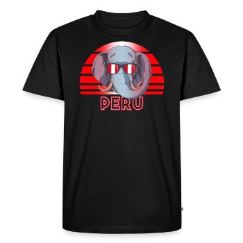 Peru - Men's Premium Organic T-Shirt - black - Front - Nico (187cm)