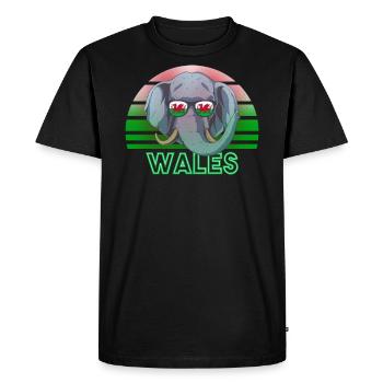 Pays de Galles - T-shirt Premium bio Homme - noir - Devant - Nico (187cm)