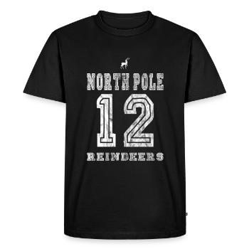 Rennes du pôle Nord - Numéro 12 - T-shirt Premium bio Homme - noir - Devant - Nico (187cm)