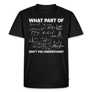 Mathematics Teacher Student Humor Saying Gift - Men's Premium Organic T-Shirt - black - Front - Nico (187cm)