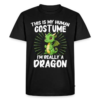 Dragon Mystic Dragon Fantasy - Men's Premium Organic T-Shirt - black - Front - Nico (187cm)