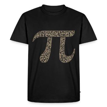 Pi Digits Math Nerd Circle Number Pi Symbol - Men's Premium Organic T-Shirt - black - Front - Nico (187cm)