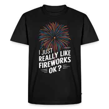 Pyrotechnie Feux d’artifice Pyrotechnie - T-shirt Premium bio Homme - noir - Devant - Nico (187cm)