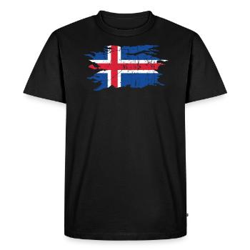 Islande - T-shirt Premium bio Homme - noir - Devant - Nico (187cm)