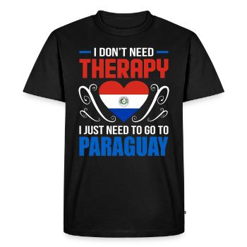 Paraguay - Men's Premium Organic T-Shirt - black - Front - Nico (187cm)