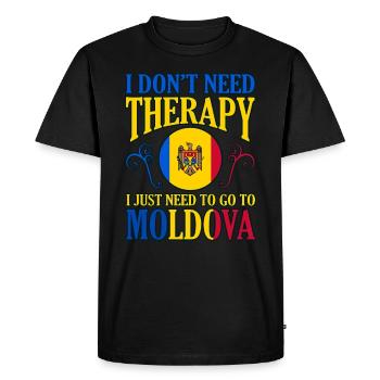 Moldova - Men's Premium Organic T-Shirt - black - Front - Nico (187cm)