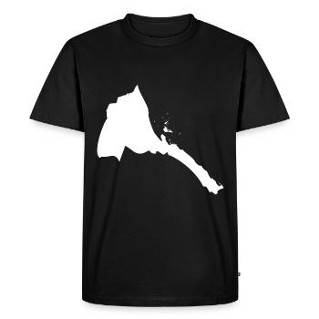Drapeau de carte de l'Érythrée - T-shirt Premium bio Homme - noir - Devant - Nico (187cm)
