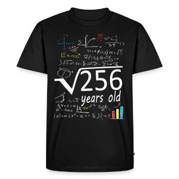 Square root 256 = 16 year old birthday - Men's Premium Organic T-Shirt - black - Front - Nico (187cm)