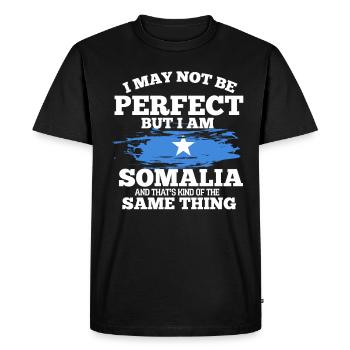Somalie - T-shirt Premium bio Homme - noir - Devant - Nico (187cm)